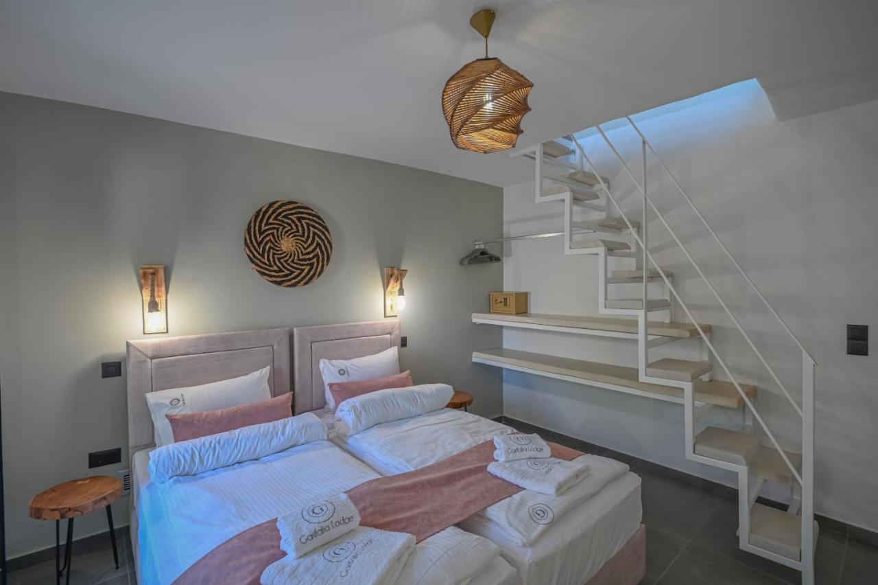Villa Garifalia With Sauna & Hydromassage ハニア エクステリア 写真